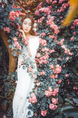 三年免费观看在线观看大全狂飙2