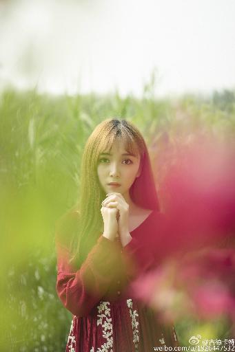 腹肌小奶狗导管视频大全