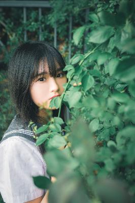 三年成全在线观看免费高清电视剧