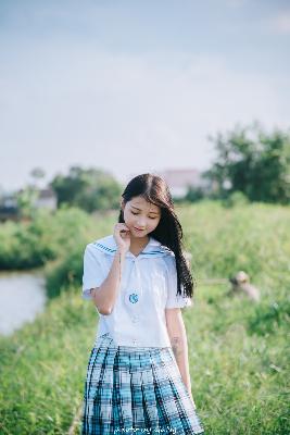 向日葵在线观看免费高清电视剧