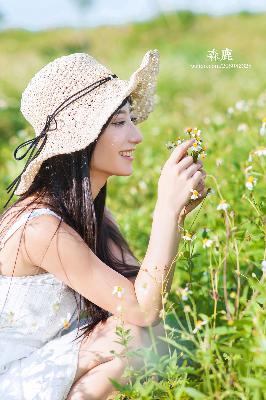 樱花动漫官方入门网站