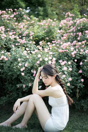 樱花在线观看免费高清电视剧荣耀
