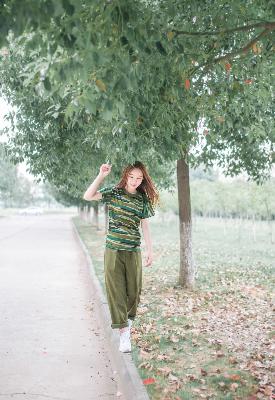 向日葵在线观看免费高清电视剧