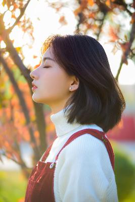 三年中文在线观看免费版