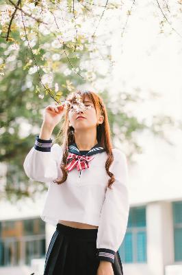 樱桃在线观看免费高清电视剧荣耀红