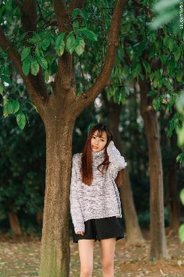 杏花影院观看免费高清电视剧