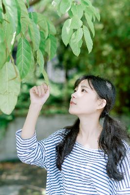 在线观看免费高清电视剧推荐