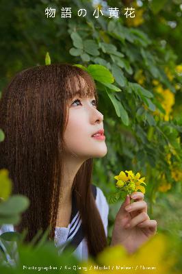 最新电视剧