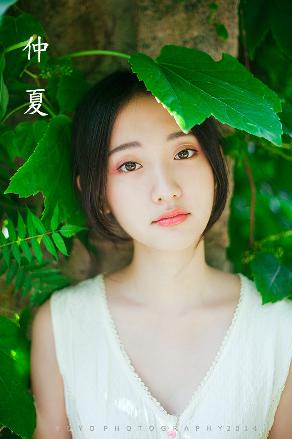 影视大全电视剧免费版全免费观看
