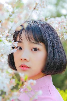 樱花动漫在线观看动漫