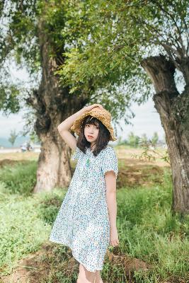 草莓视频在线