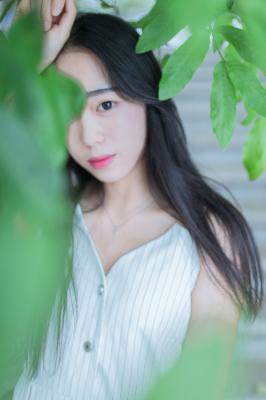 成全高清在线观看免费新浪