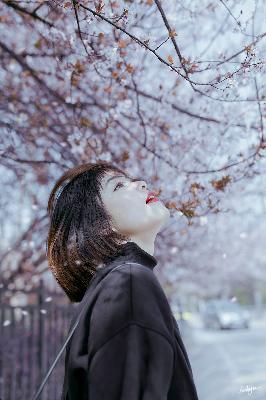 大地资源高清在线观看