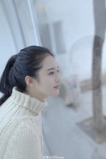 神马在线观看电影电视剧全部免费